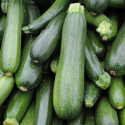 Courgette - 500 gr