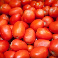 Tomate roma - 500 gr