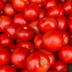 Tomate ronde - 500 gr