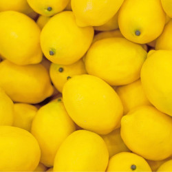 Citron jaune - la pièce