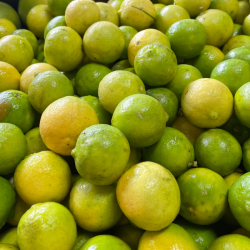 Citron 4 Saisons - 500 gr