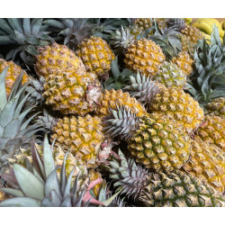 Promo Ananas - 3kg