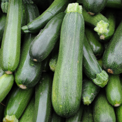 Promo Courgettes - 3kg