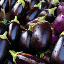 Promo Aubergines - 3kg