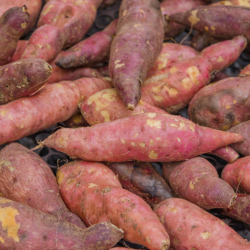 Patate douce - 500 gr