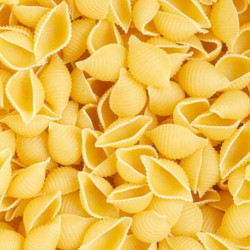 Conchiglie VRAC - 500gr