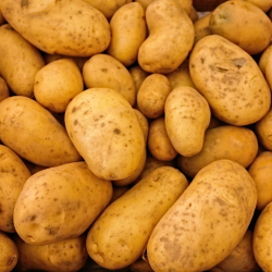 Pomme de terre - 500 gr